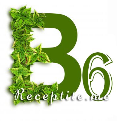  B6 ()